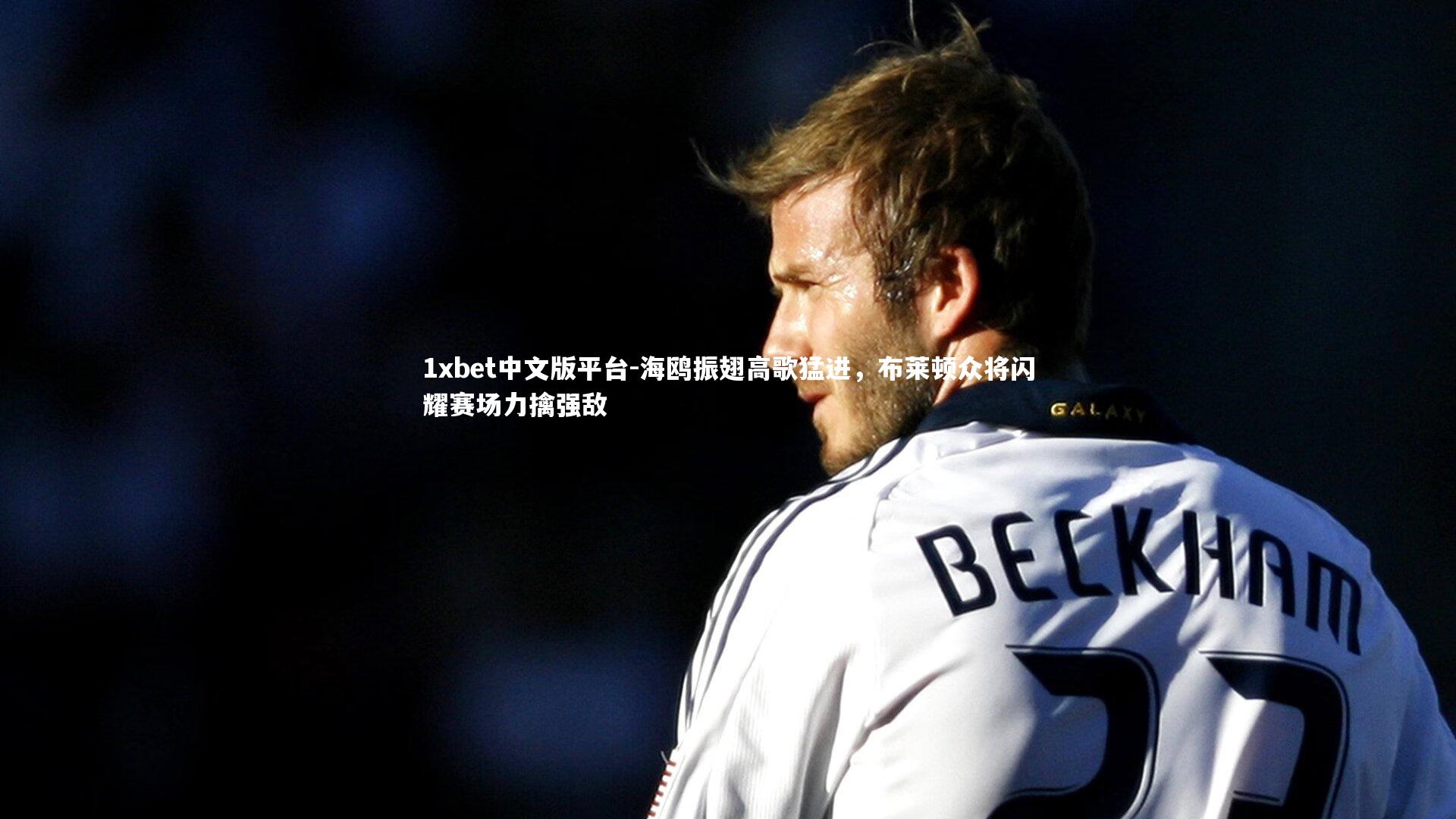 海鸥振翅高歌猛进，布莱顿众将闪耀赛场力擒强敌